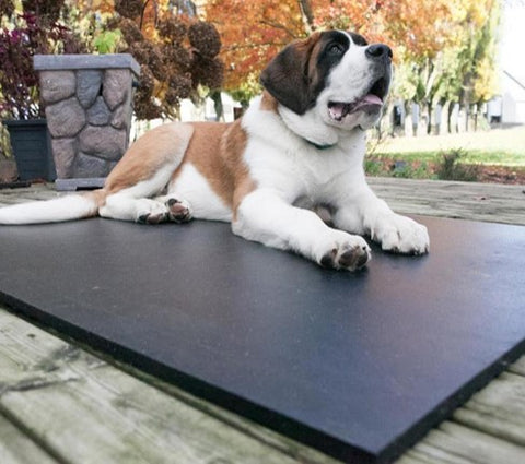 Small Pet Mat